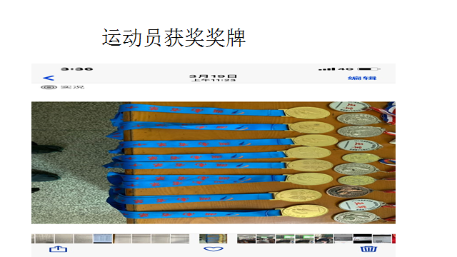 2019年8月，在湖南省中学生田径锦标赛上，我校运动员代表衡阳市夺得三块单项金牌，一块接力金牌，三块银牌。